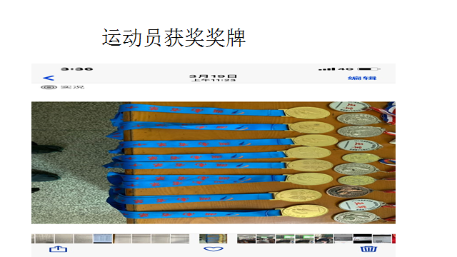 2019年8月，在湖南省中学生田径锦标赛上，我校运动员代表衡阳市夺得三块单项金牌，一块接力金牌，三块银牌。